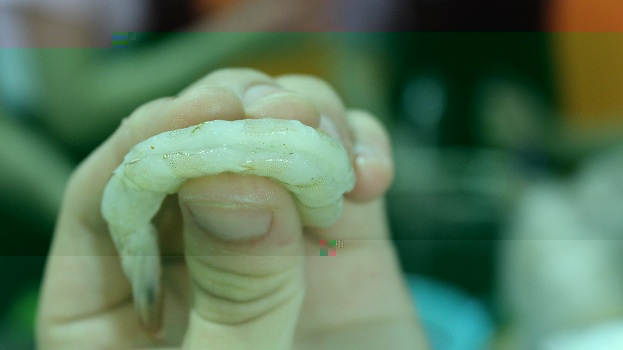 感食物之美，悟營養之悅――伟德BETVLCTOR明德導師團系列活動之14營養團日活動
